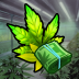 Hempire Plant Growing Game.png